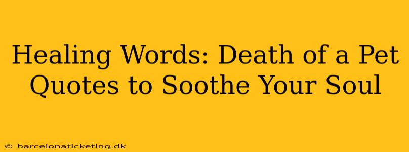 Healing Words: Death of a Pet Quotes to Soothe Your Soul