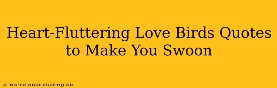 Heart-Fluttering Love Birds Quotes to Make You Swoon