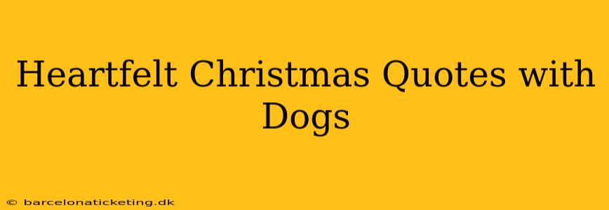 Heartfelt Christmas Quotes with Dogs