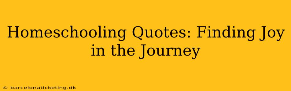 Homeschooling Quotes: Finding Joy in the Journey