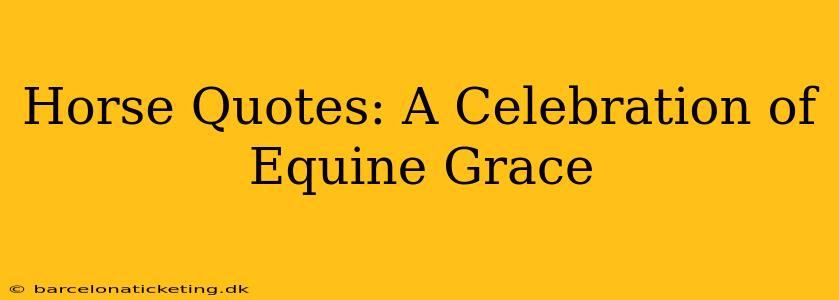 Horse Quotes: A Celebration of Equine Grace