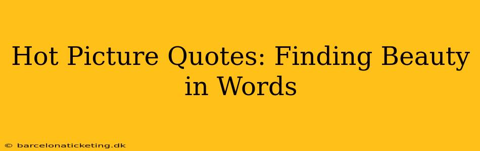 Hot Picture Quotes: Finding Beauty in Words