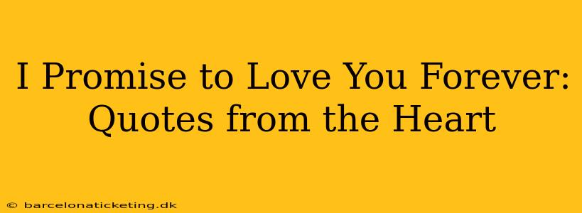 I Promise to Love You Forever: Quotes from the Heart