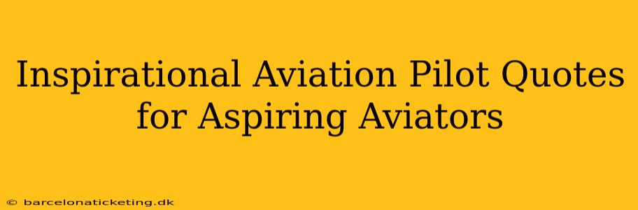 Inspirational Aviation Pilot Quotes for Aspiring Aviators
