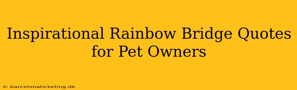 Inspirational Rainbow Bridge Quotes for Pet Owners