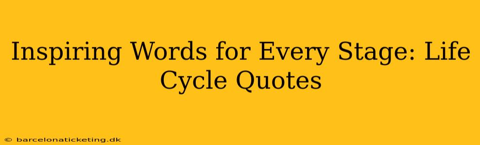 Inspiring Words for Every Stage: Life Cycle Quotes