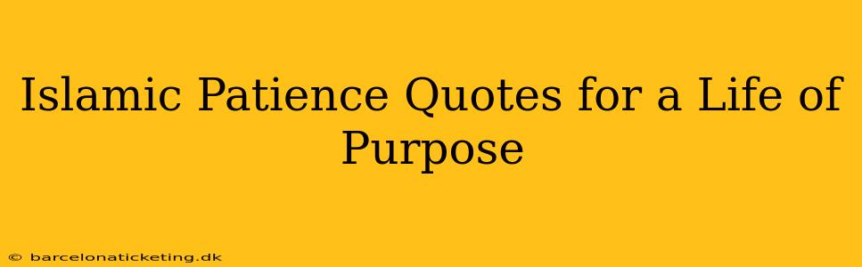 Islamic Patience Quotes for a Life of Purpose