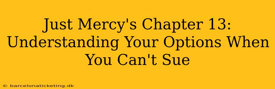 Just Mercy's Chapter 13: Understanding Your Options When You Can't Sue