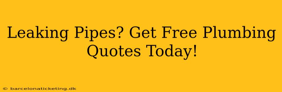 Leaking Pipes? Get Free Plumbing Quotes Today!