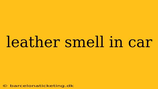 leather smell in car