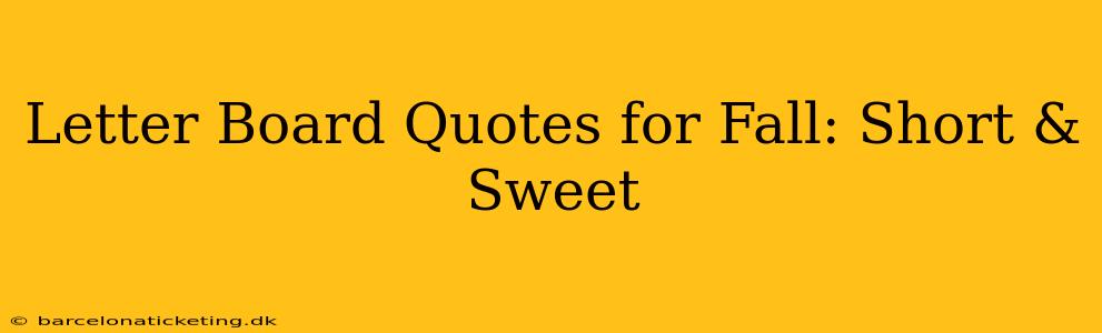 Letter Board Quotes for Fall: Short & Sweet