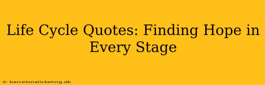 Life Cycle Quotes: Finding Hope in Every Stage