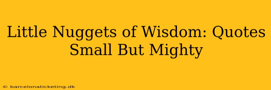 Little Nuggets of Wisdom: Quotes Small But Mighty
