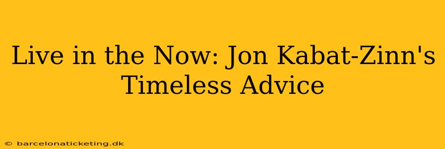 Live in the Now: Jon Kabat-Zinn's Timeless Advice