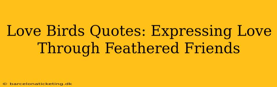 Love Birds Quotes: Expressing Love Through Feathered Friends