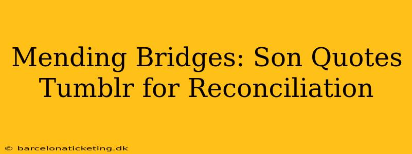 Mending Bridges: Son Quotes Tumblr for Reconciliation