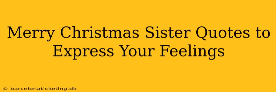 Merry Christmas Sister Quotes to Express Your Feelings