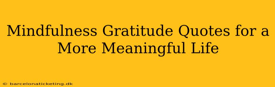 Mindfulness Gratitude Quotes for a More Meaningful Life