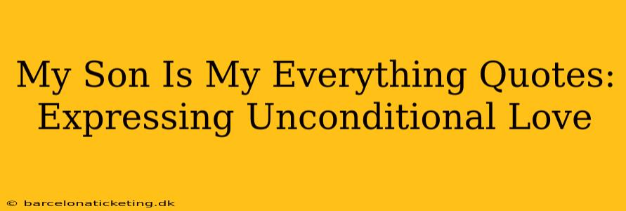 My Son Is My Everything Quotes: Expressing Unconditional Love