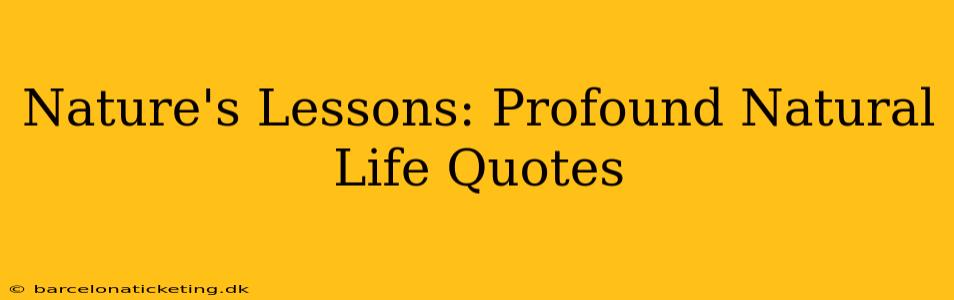 Nature's Lessons: Profound Natural Life Quotes