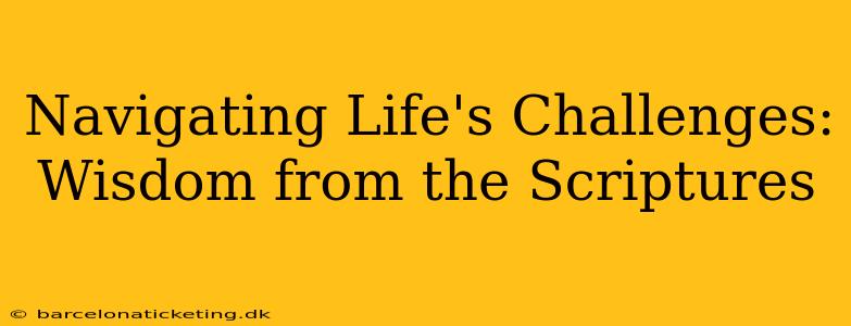 Navigating Life's Challenges: Wisdom from the Scriptures