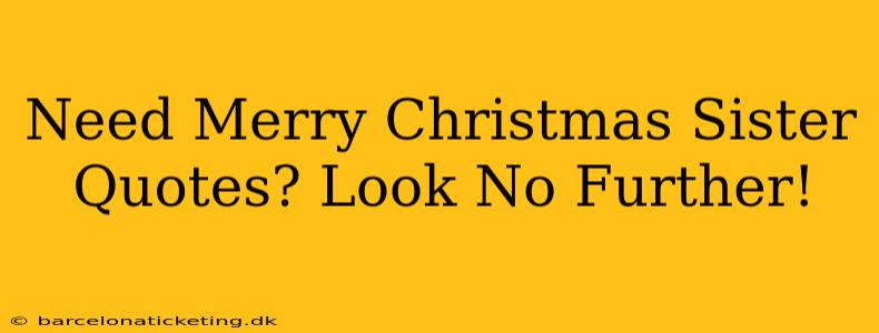 Need Merry Christmas Sister Quotes? Look No Further!