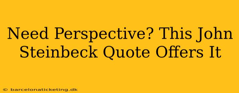 Need Perspective? This John Steinbeck Quote Offers It