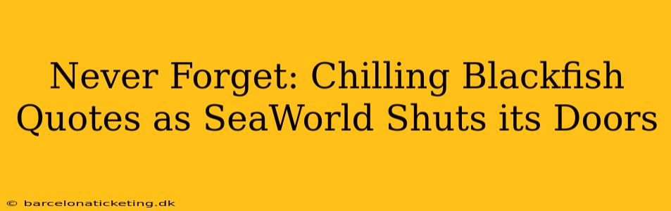 Never Forget: Chilling Blackfish Quotes as SeaWorld Shuts its Doors