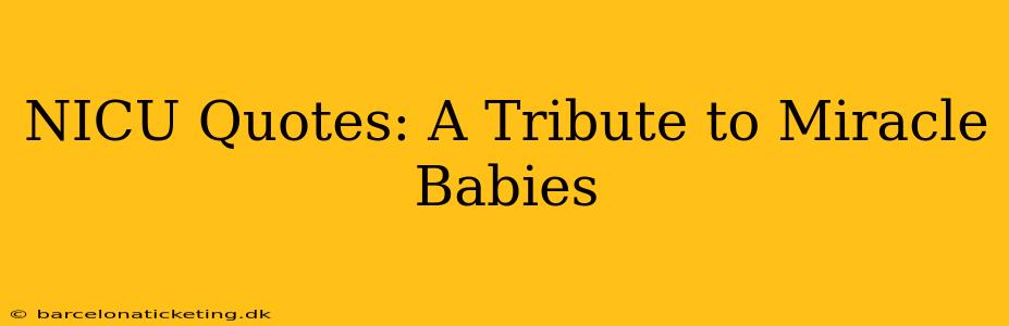 NICU Quotes: A Tribute to Miracle Babies