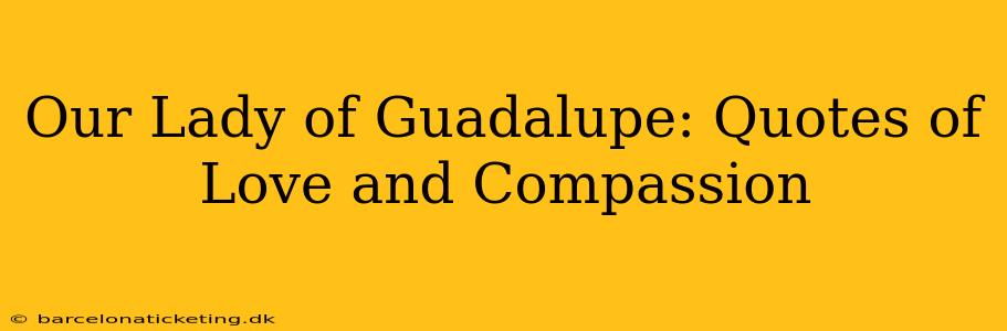 Our Lady of Guadalupe: Quotes of Love and Compassion