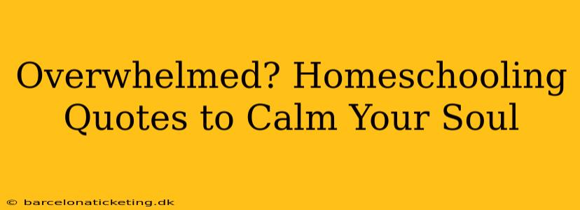 Overwhelmed? Homeschooling Quotes to Calm Your Soul