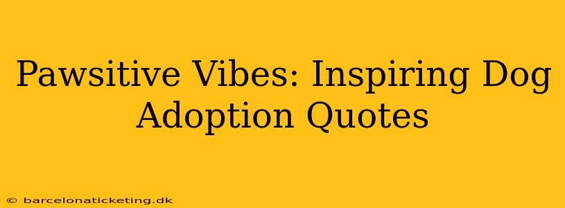 Pawsitive Vibes: Inspiring Dog Adoption Quotes