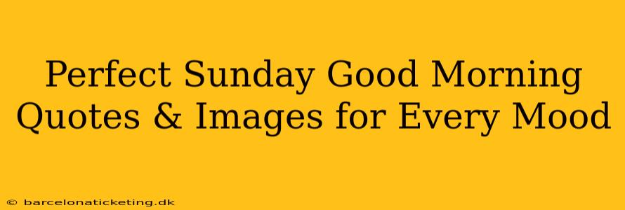 Perfect Sunday Good Morning Quotes & Images for Every Mood