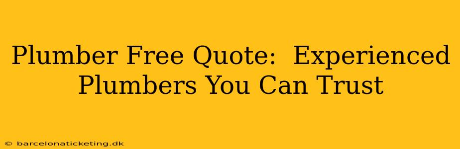 Plumber Free Quote:  Experienced Plumbers You Can Trust