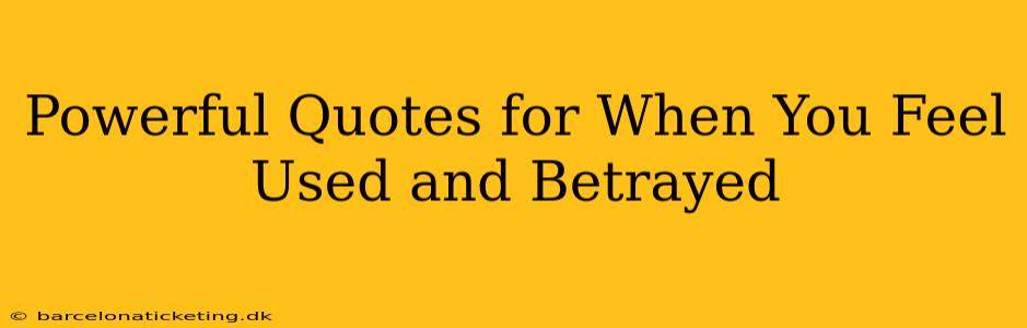 Powerful Quotes for When You Feel Used and Betrayed