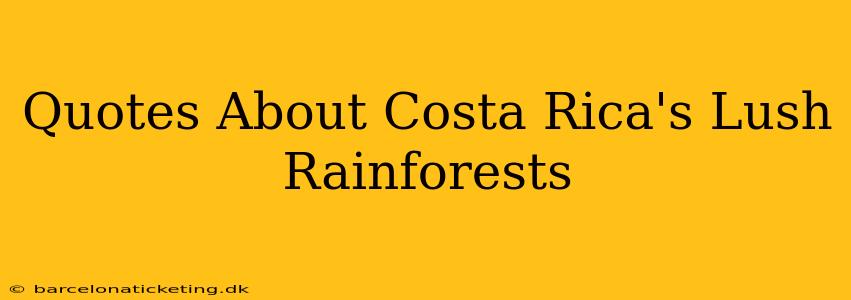 Quotes About Costa Rica's Lush Rainforests