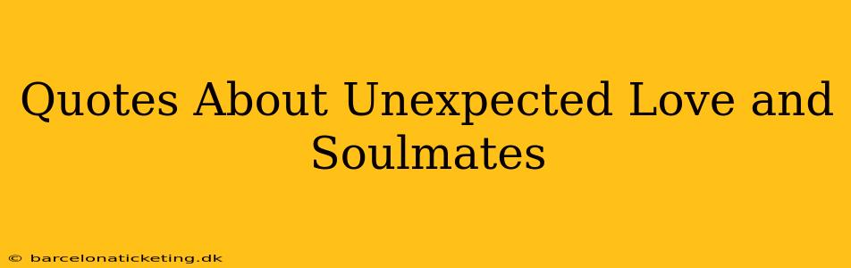Quotes About Unexpected Love and Soulmates