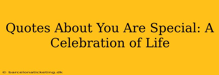 Quotes About You Are Special: A Celebration of Life