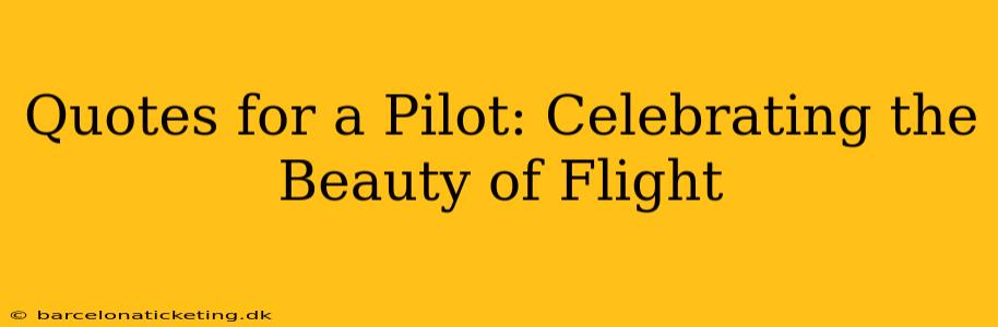 Quotes for a Pilot: Celebrating the Beauty of Flight