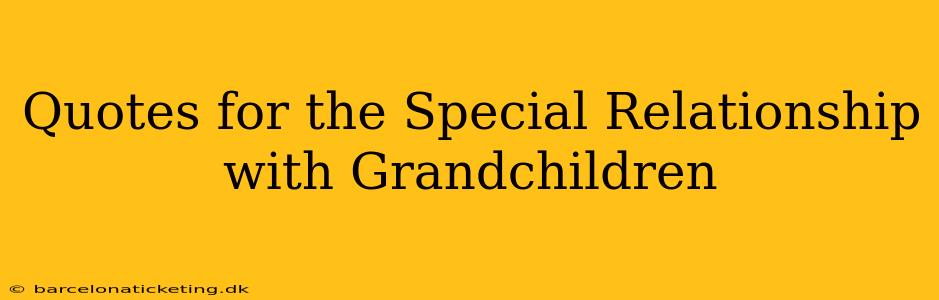 Quotes for the Special Relationship with Grandchildren