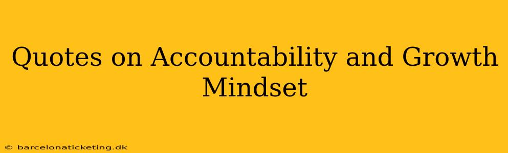 Quotes on Accountability and Growth Mindset