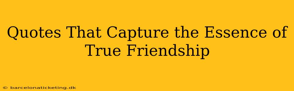Quotes That Capture the Essence of True Friendship
