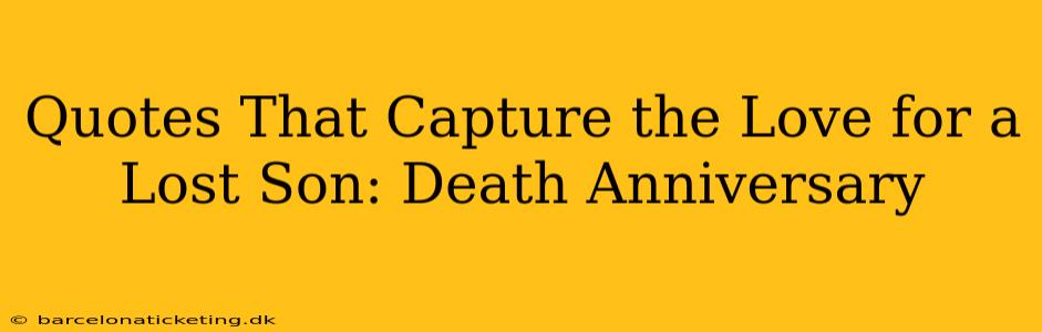 Quotes That Capture the Love for a Lost Son: Death Anniversary