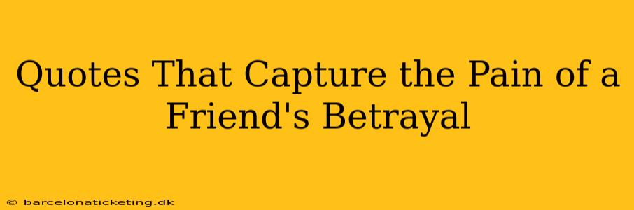 Quotes That Capture the Pain of a Friend's Betrayal