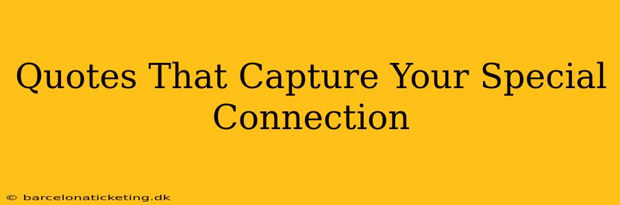 Quotes That Capture Your Special Connection