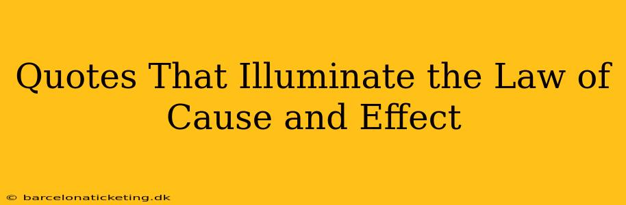 Quotes That Illuminate the Law of Cause and Effect