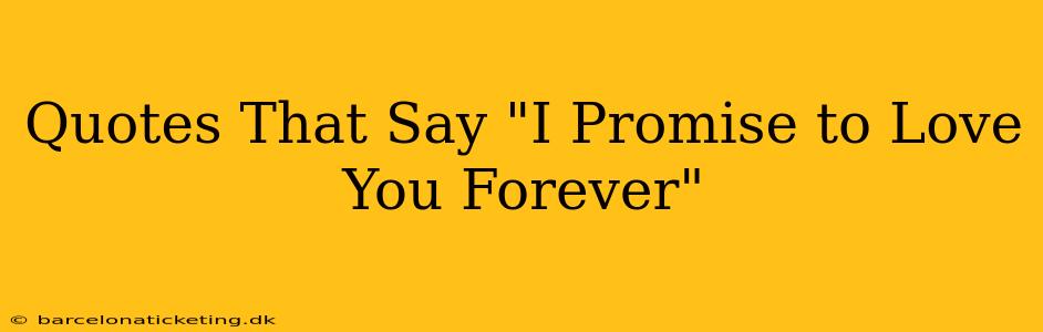 Quotes That Say "I Promise to Love You Forever"