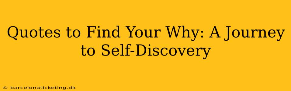 Quotes to Find Your Why: A Journey to Self-Discovery
