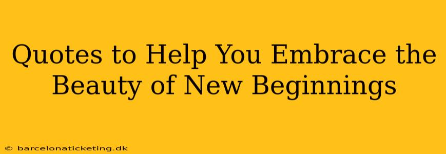 Quotes to Help You Embrace the Beauty of New Beginnings