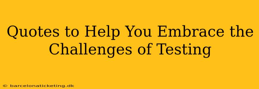 Quotes to Help You Embrace the Challenges of Testing
